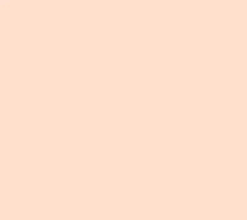 Flamingo Pink