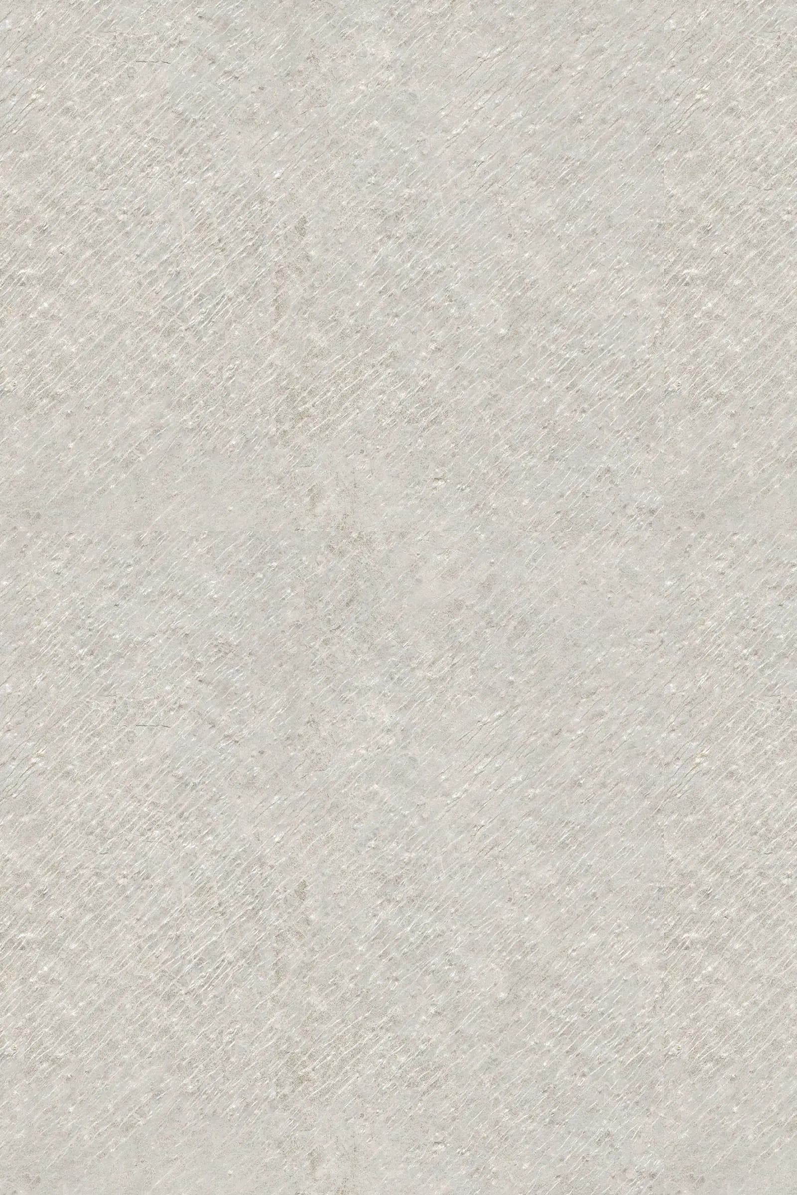 Sand Venera