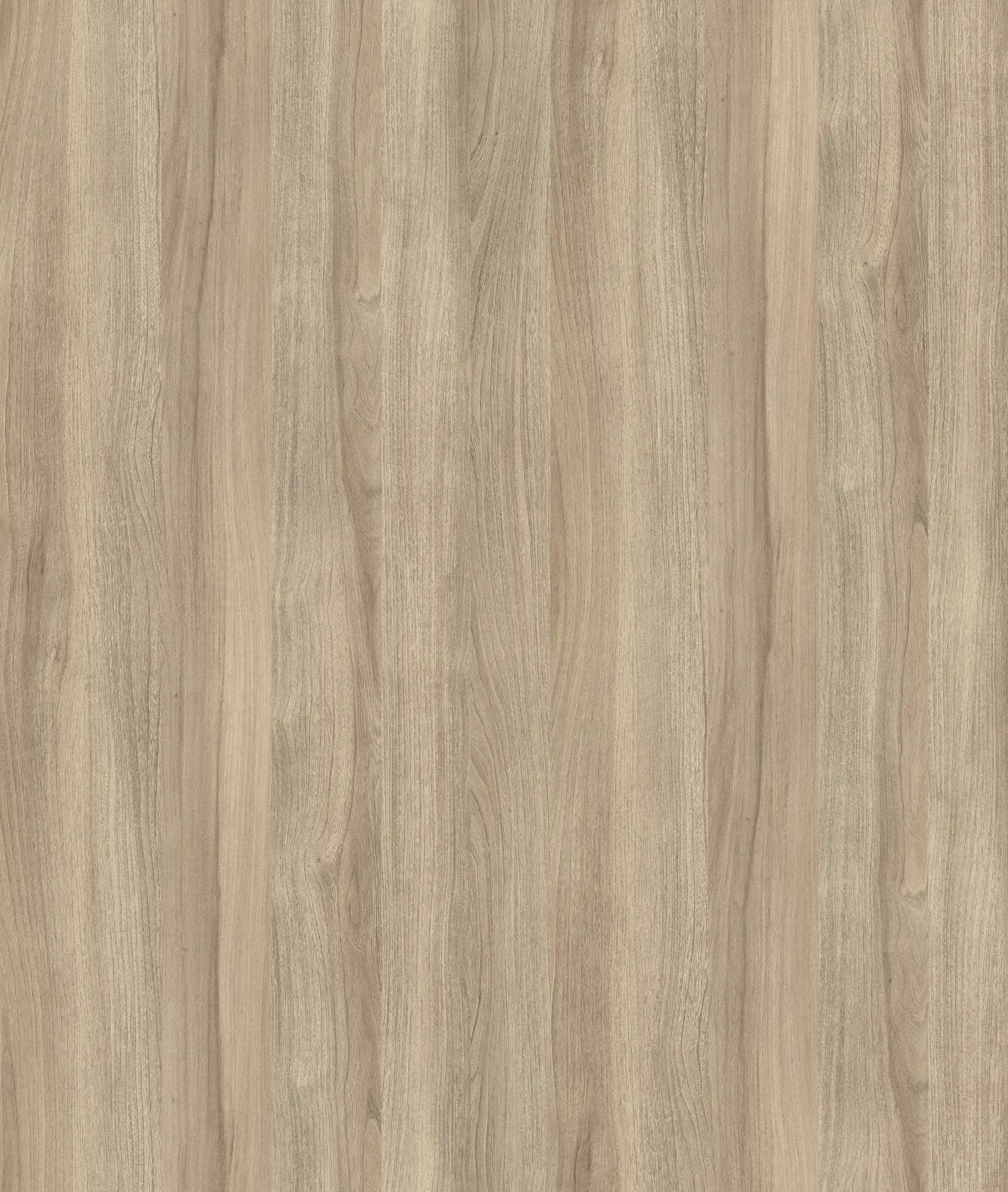 Blonde Liberty Elm