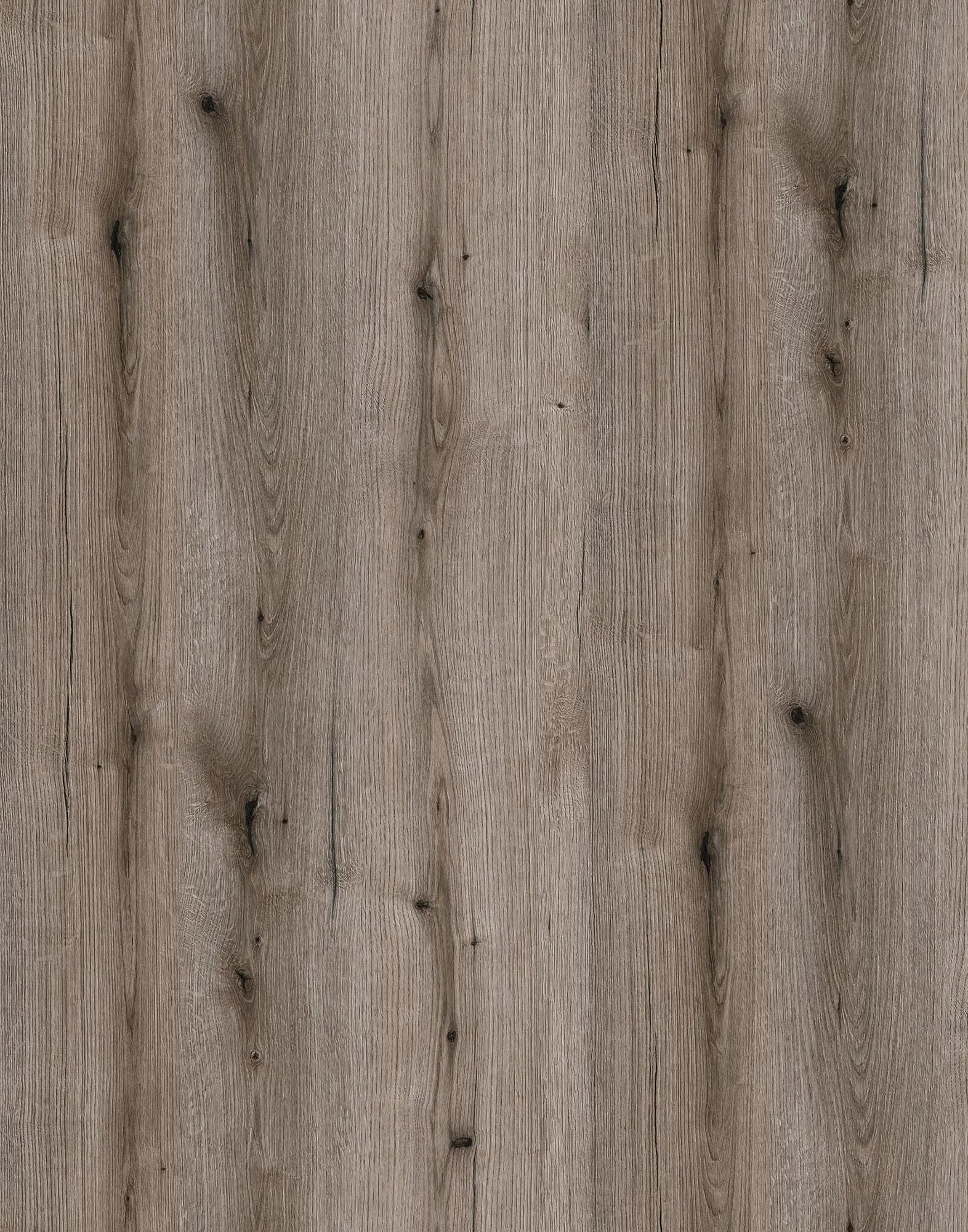 Fossil Evoke Oak