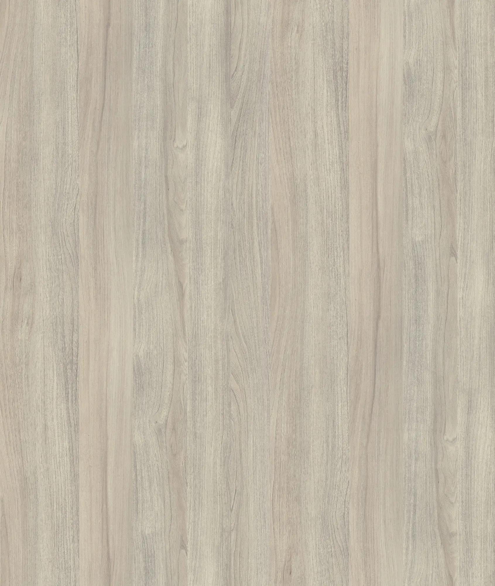 Silver Liberty Elm