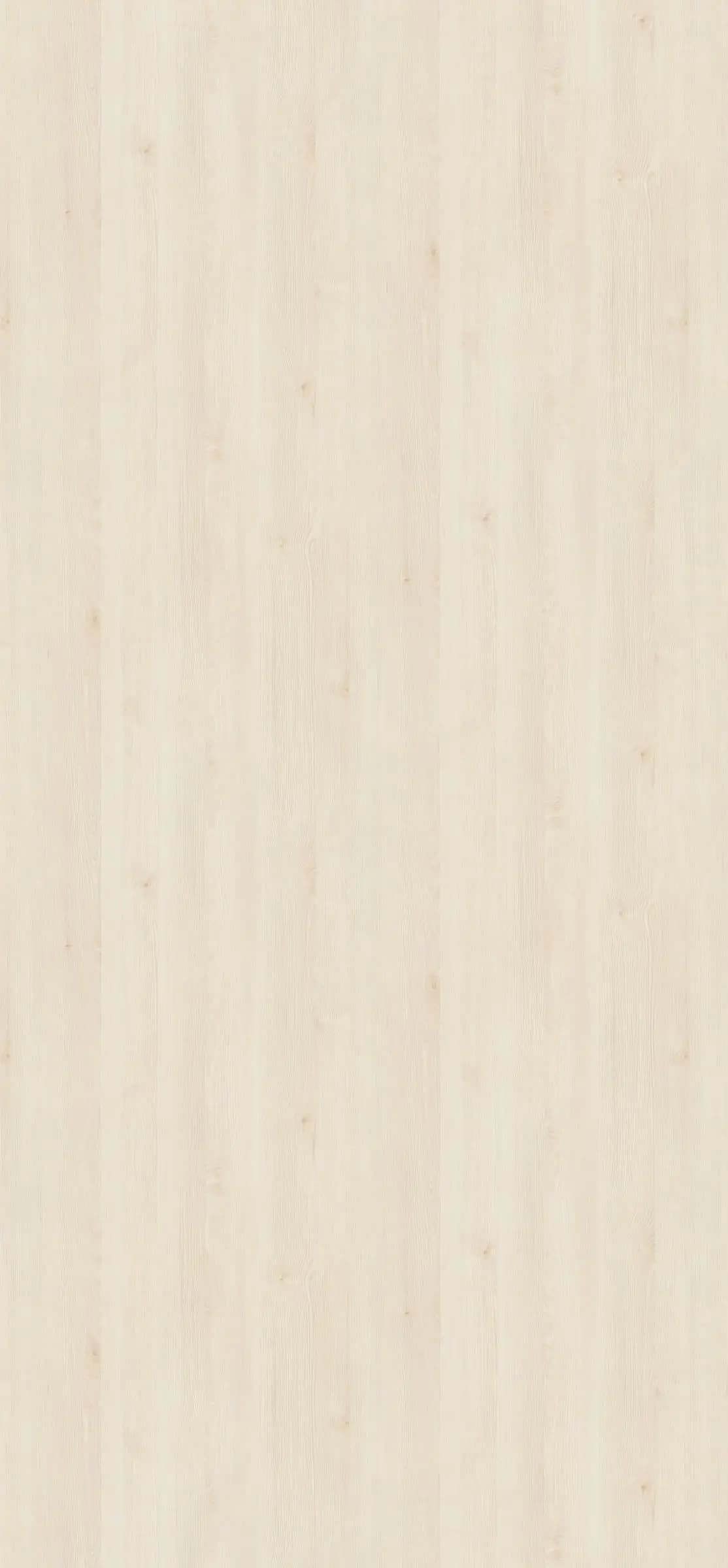 Pínia Aland polárna