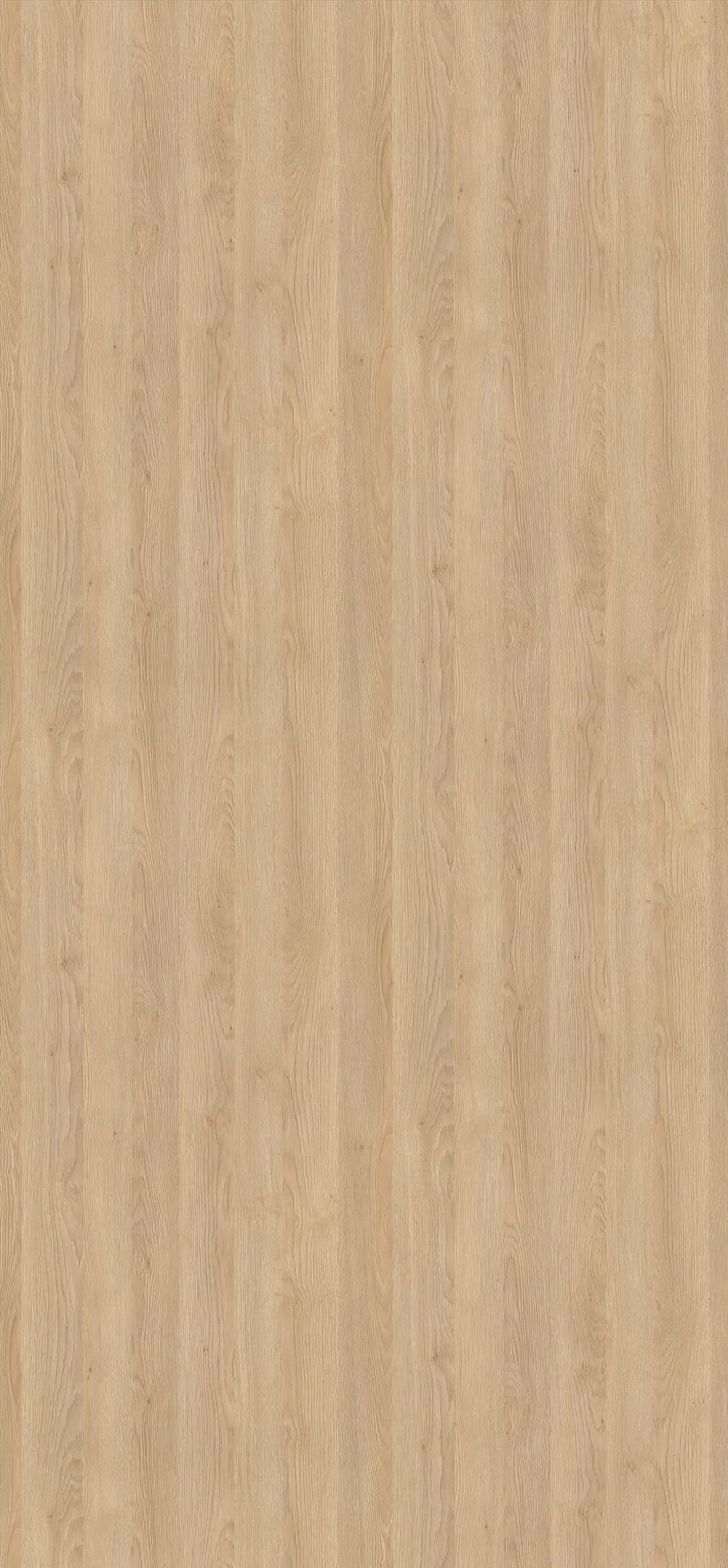 Dub Gladstone pieskový