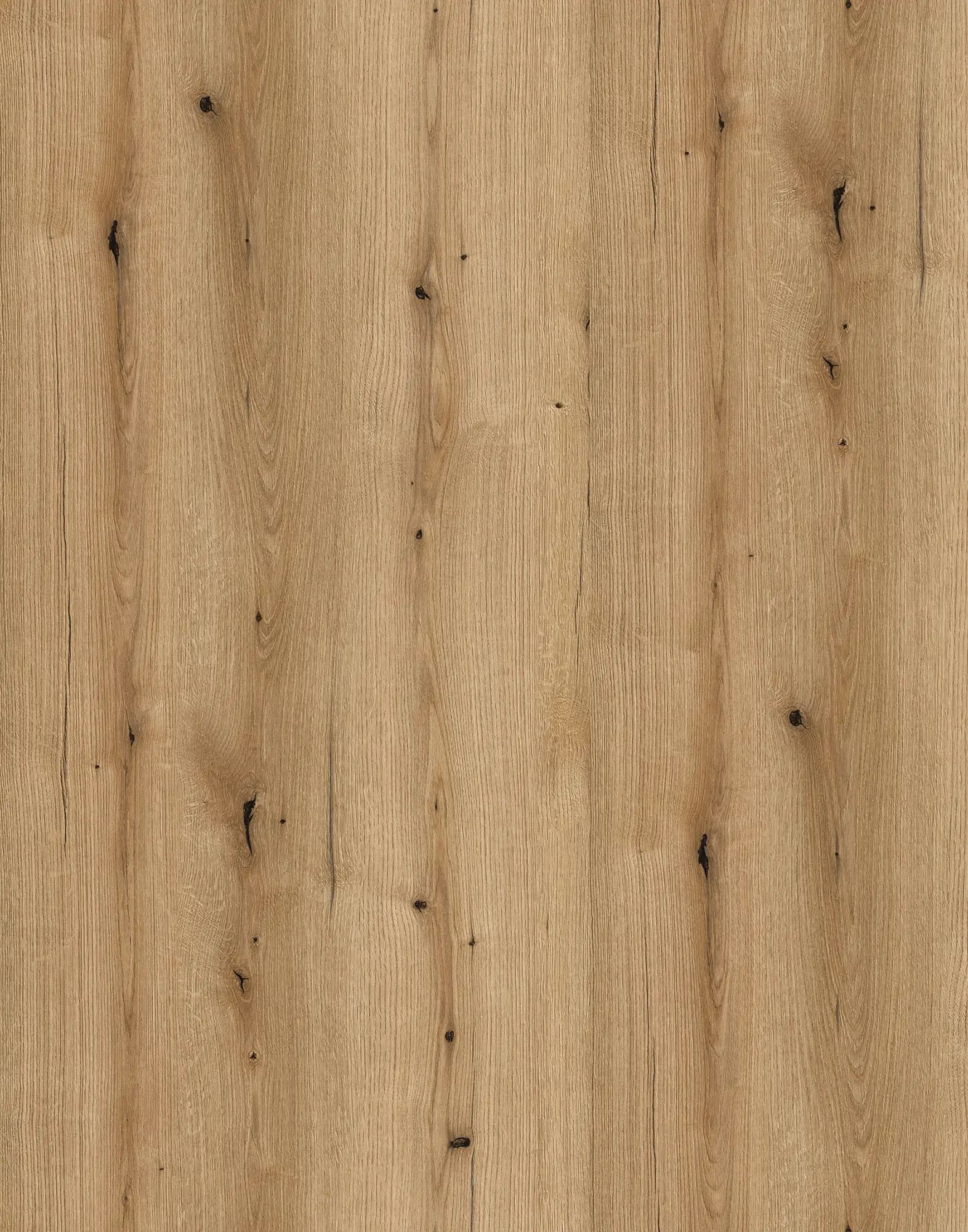 Coast Evoke Oak