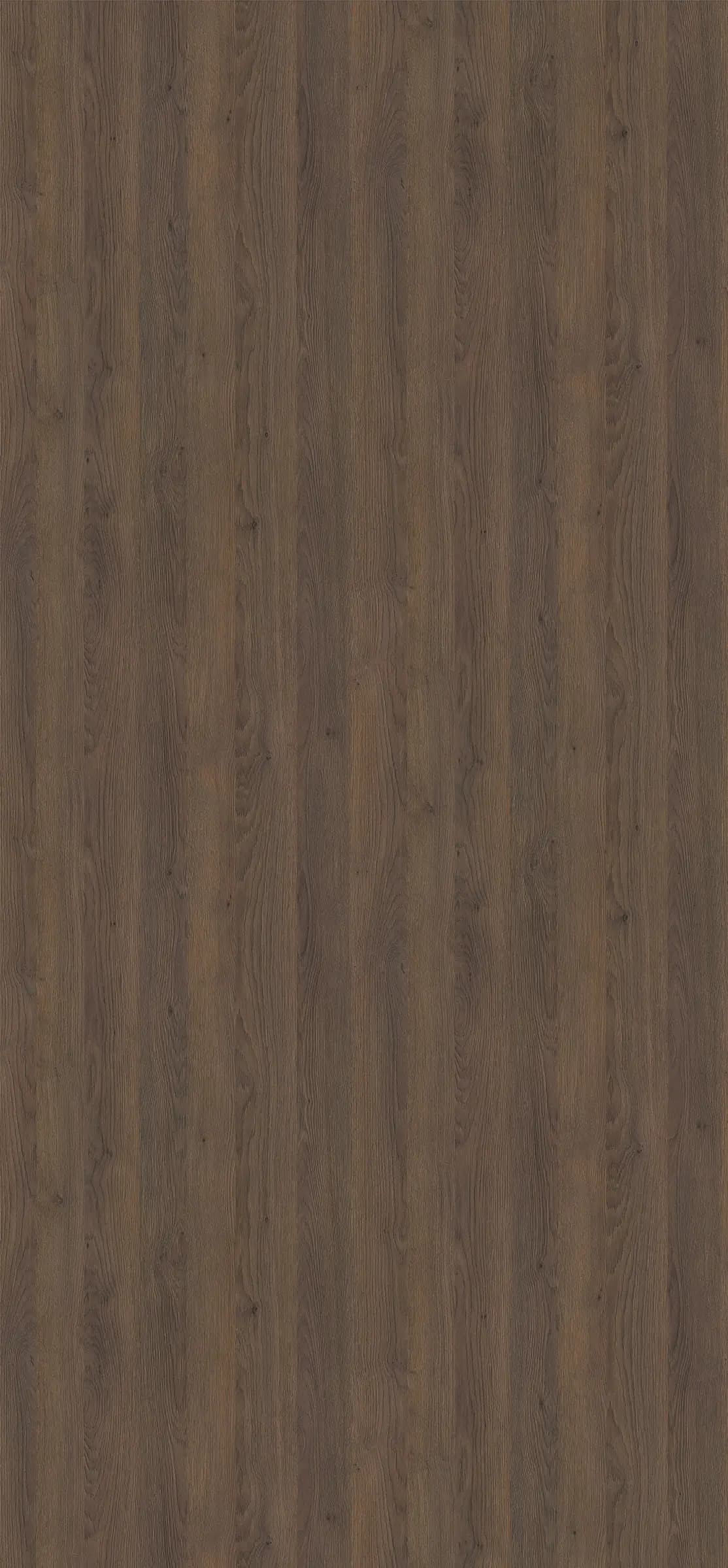 Dub Gladstone tabakový