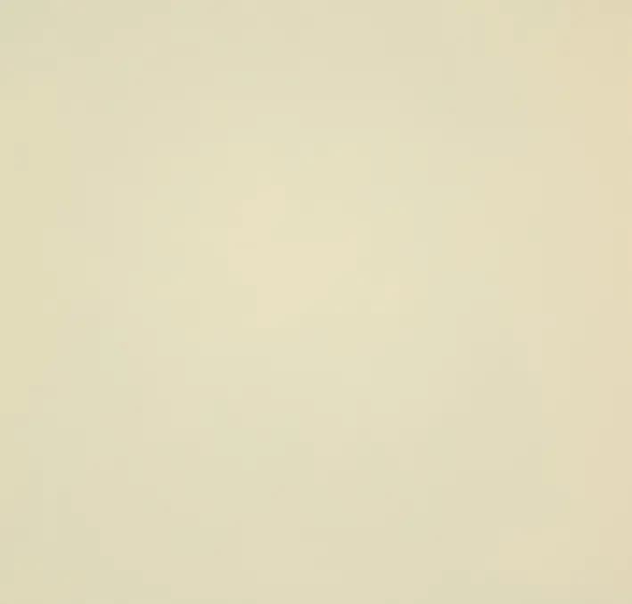 Pure Beige 