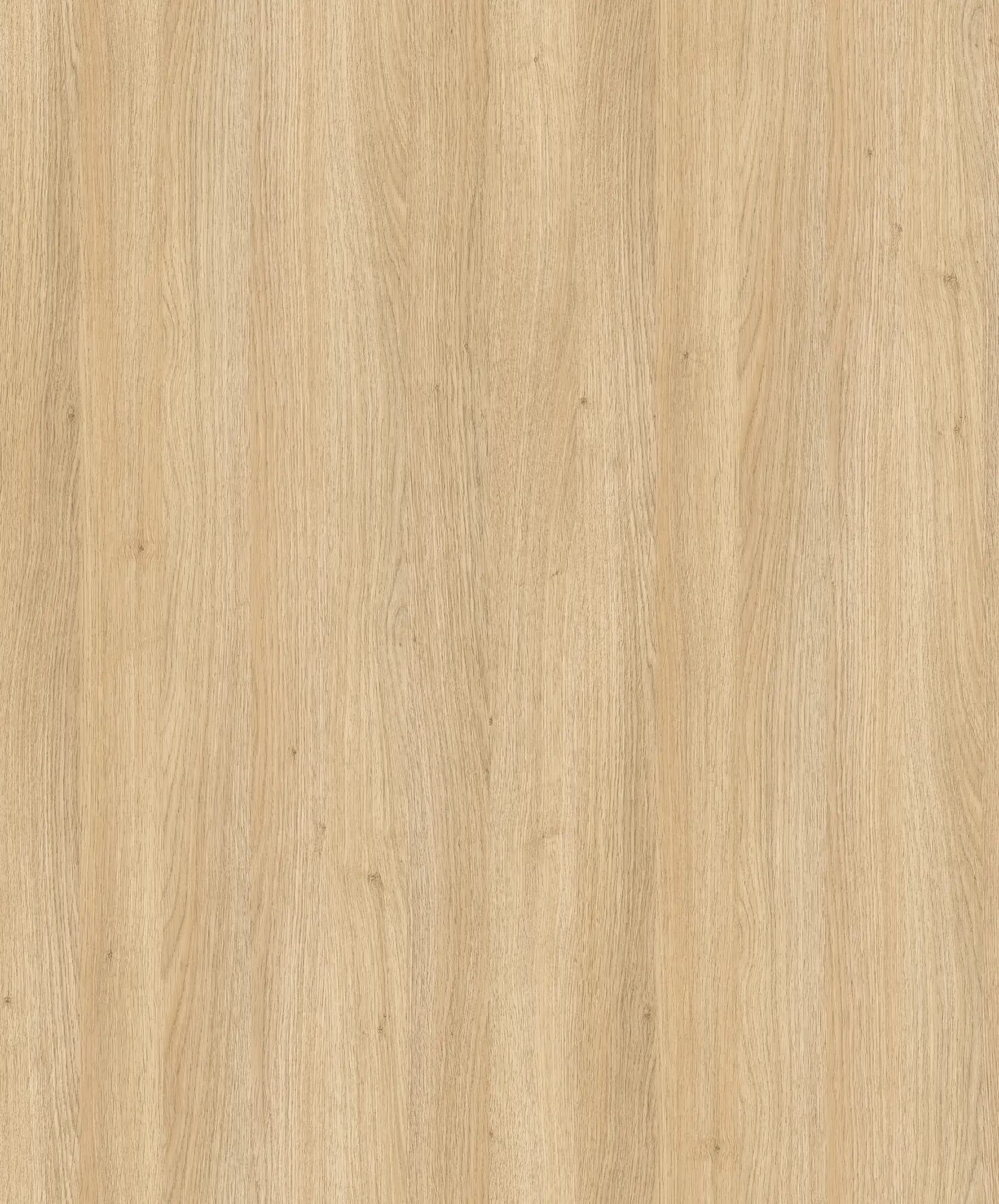 Nagano Oak