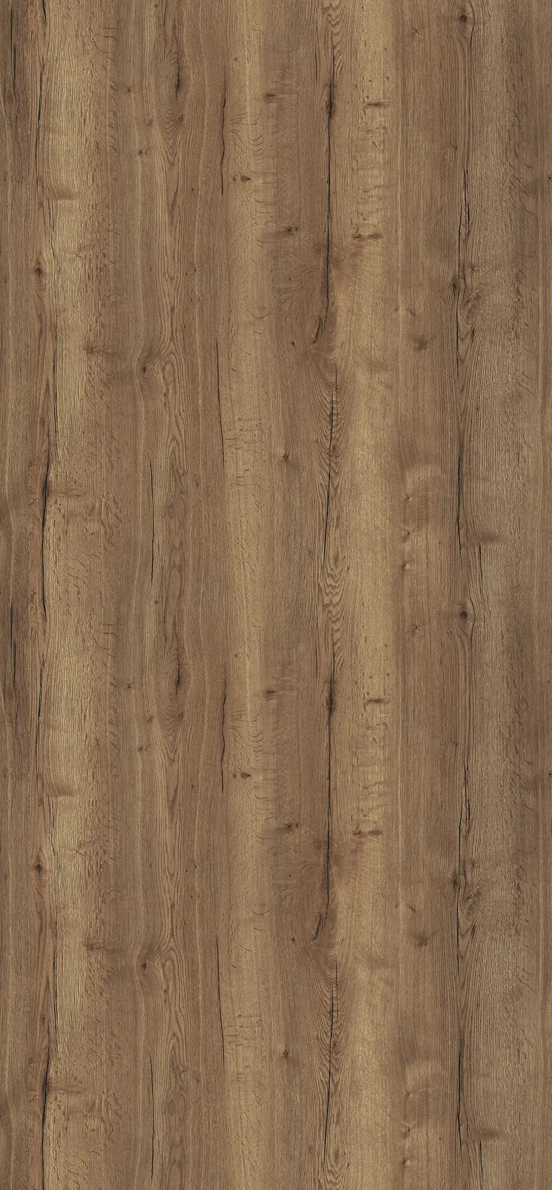 Dub Halifax tabakový