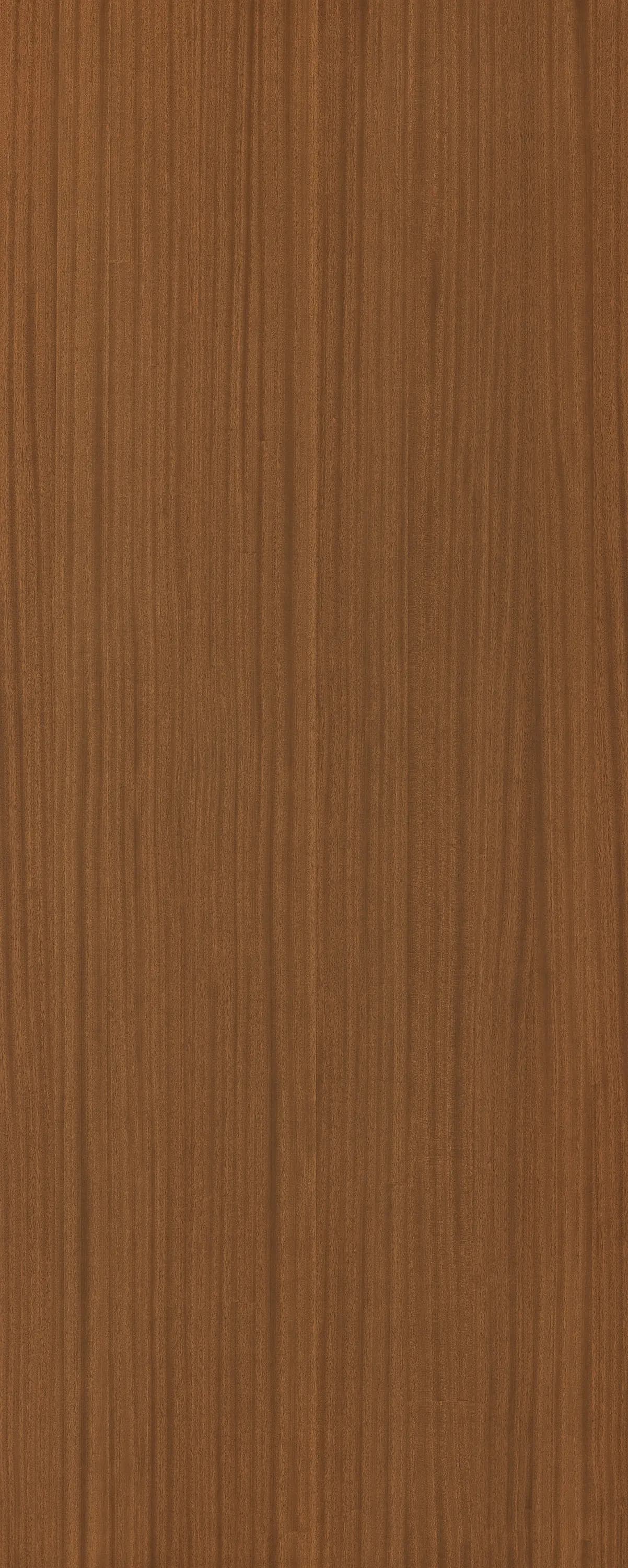 Terra Sapele