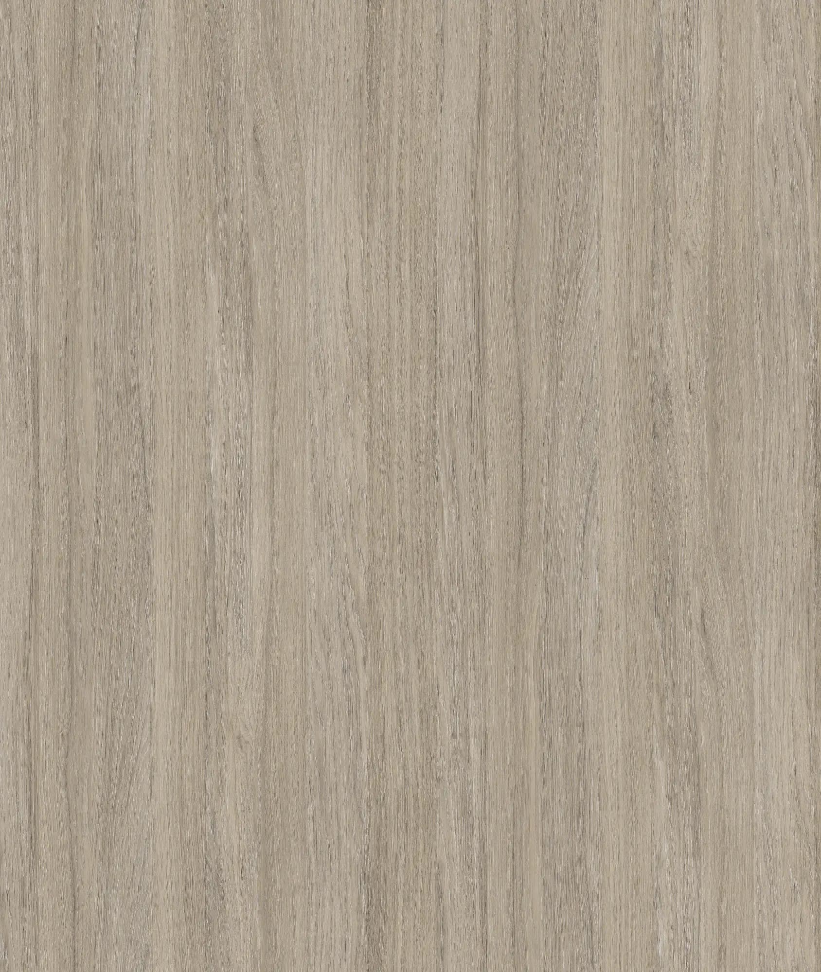 Oyster Urban Oak