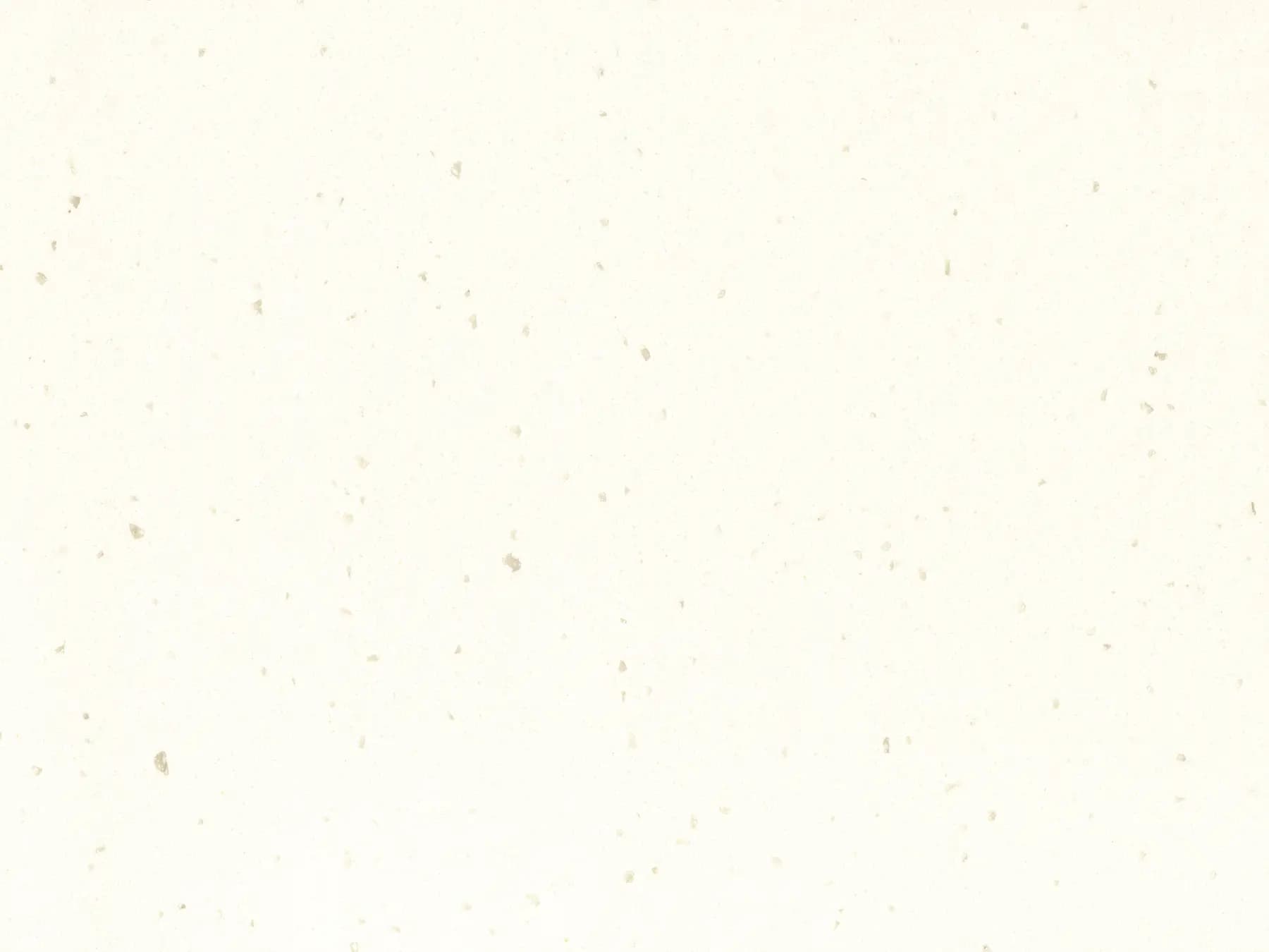 White Jasmine