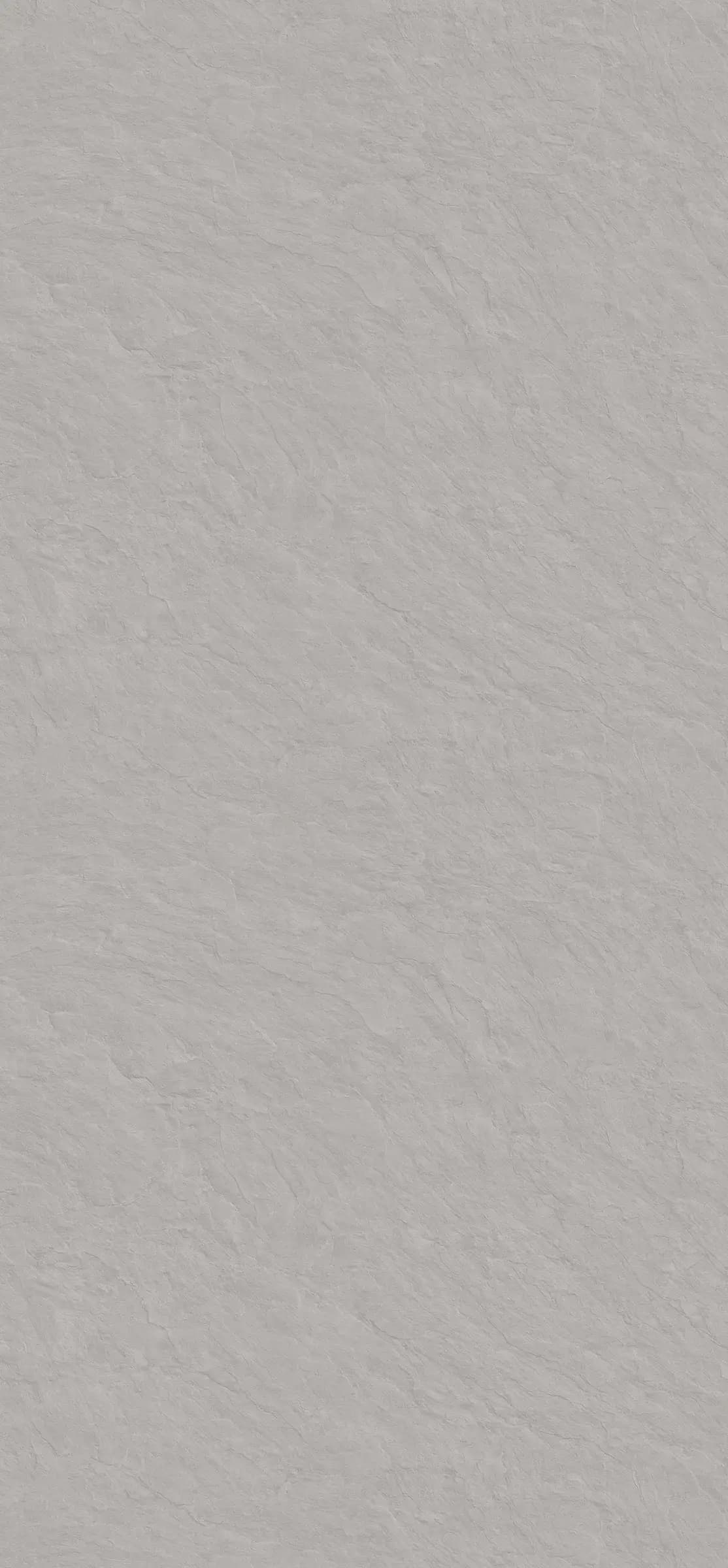 Bridlica Scivaro svetlošedá