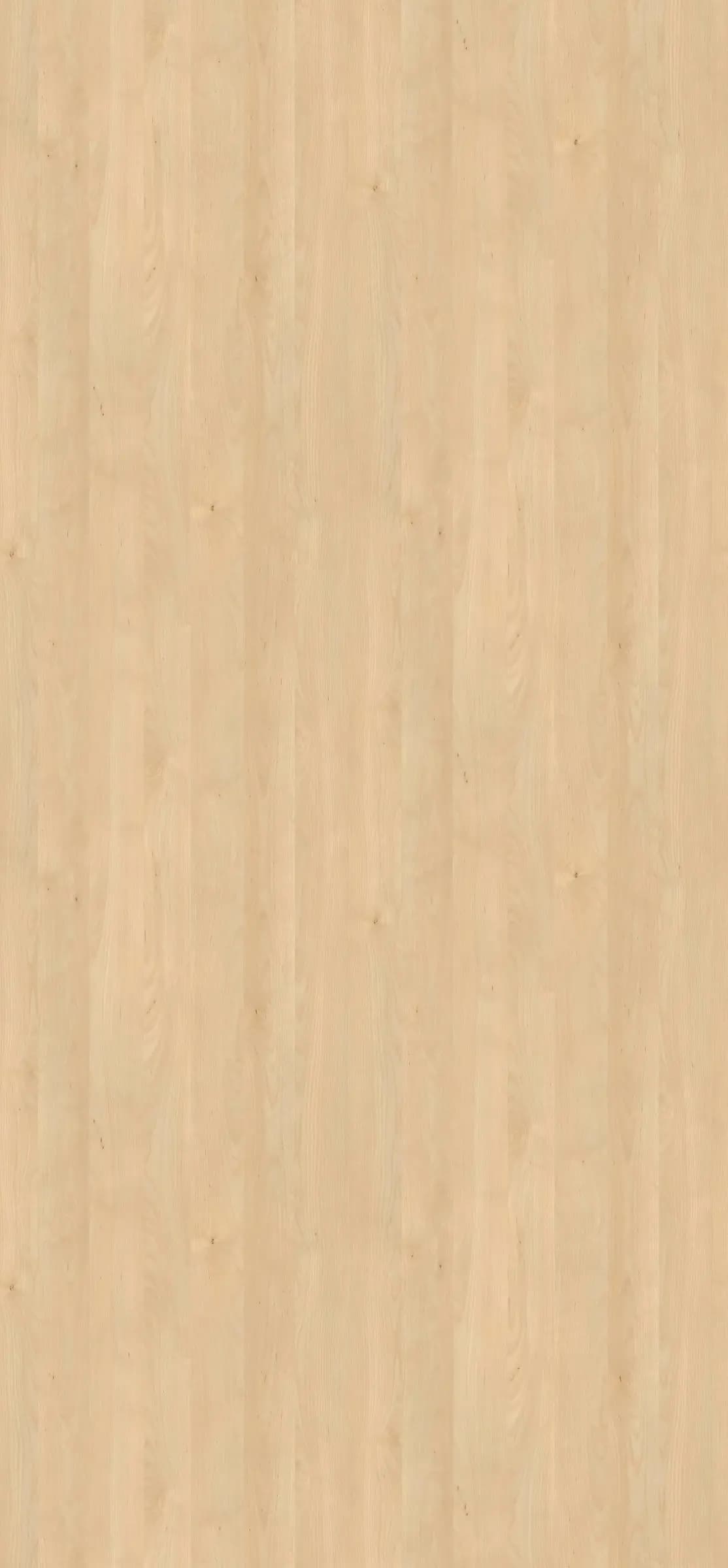 Javor Mandal prírodný