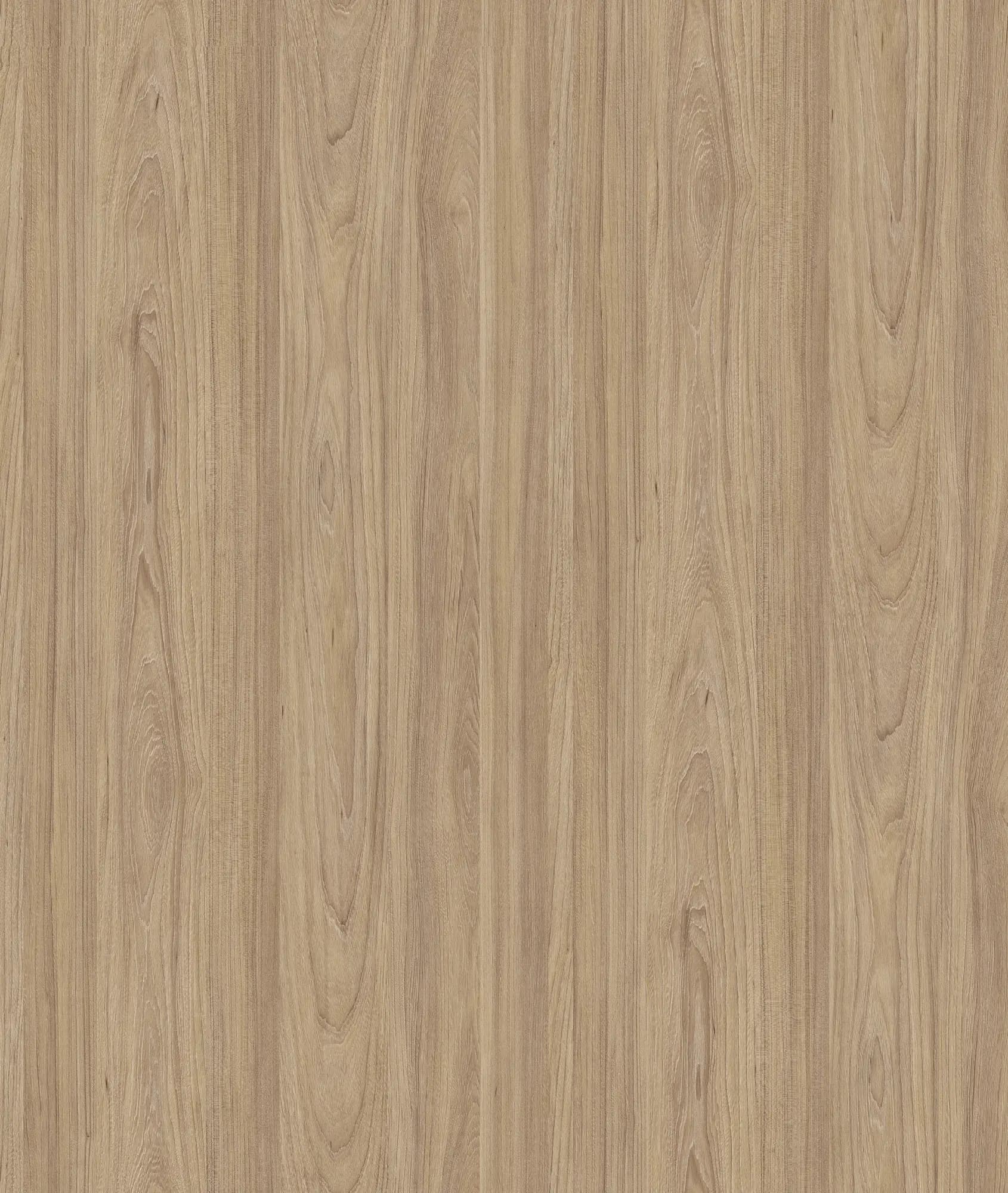 Natural Noble Elm