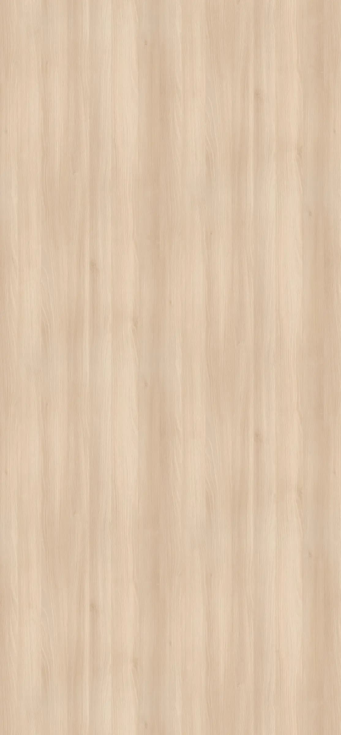 Akácia Lakeland svetlá