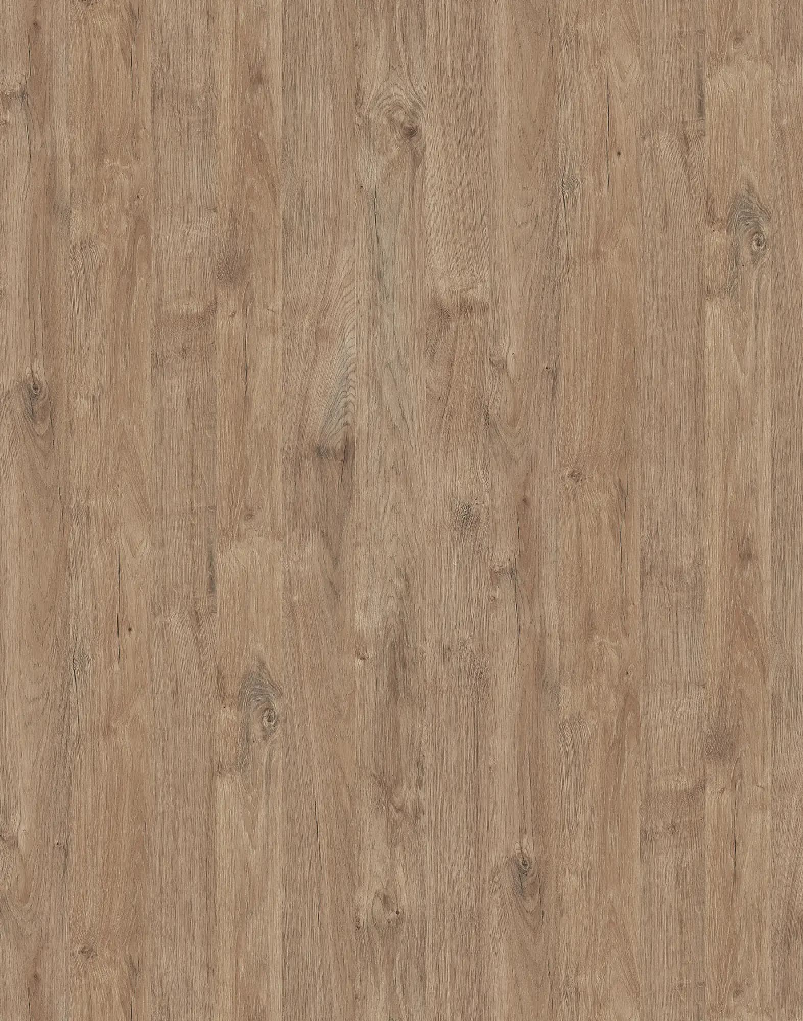 Gold Harbor Oak
