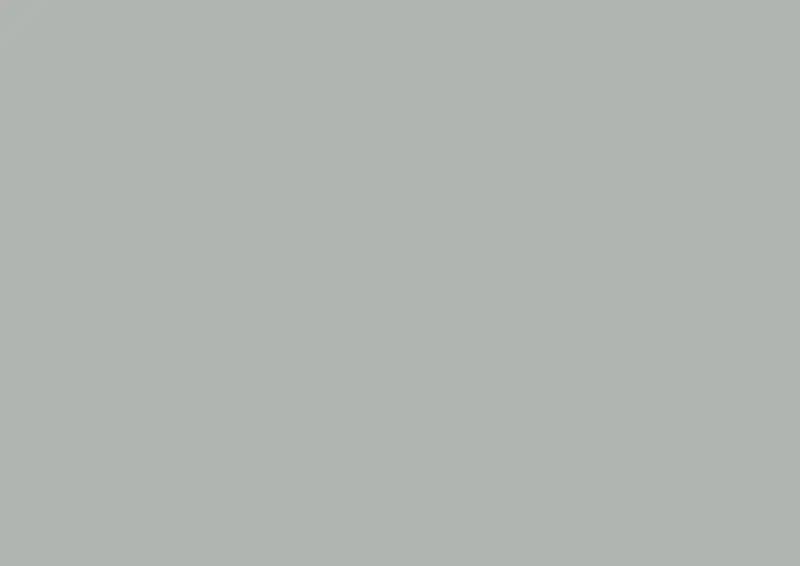 Silver Gray 