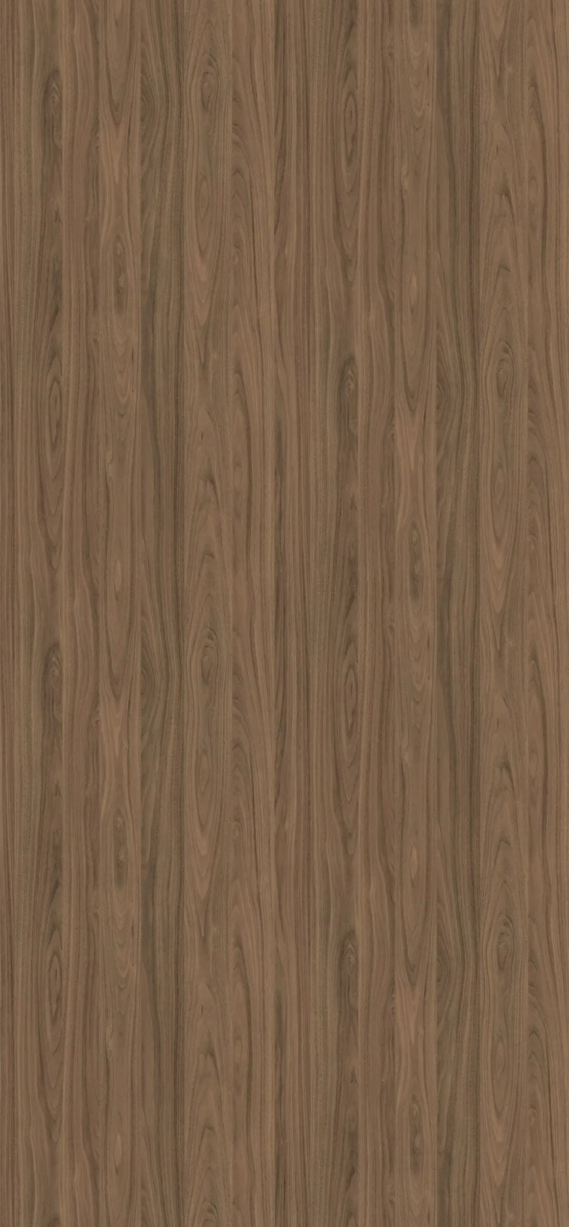 Orech Carini prírodný