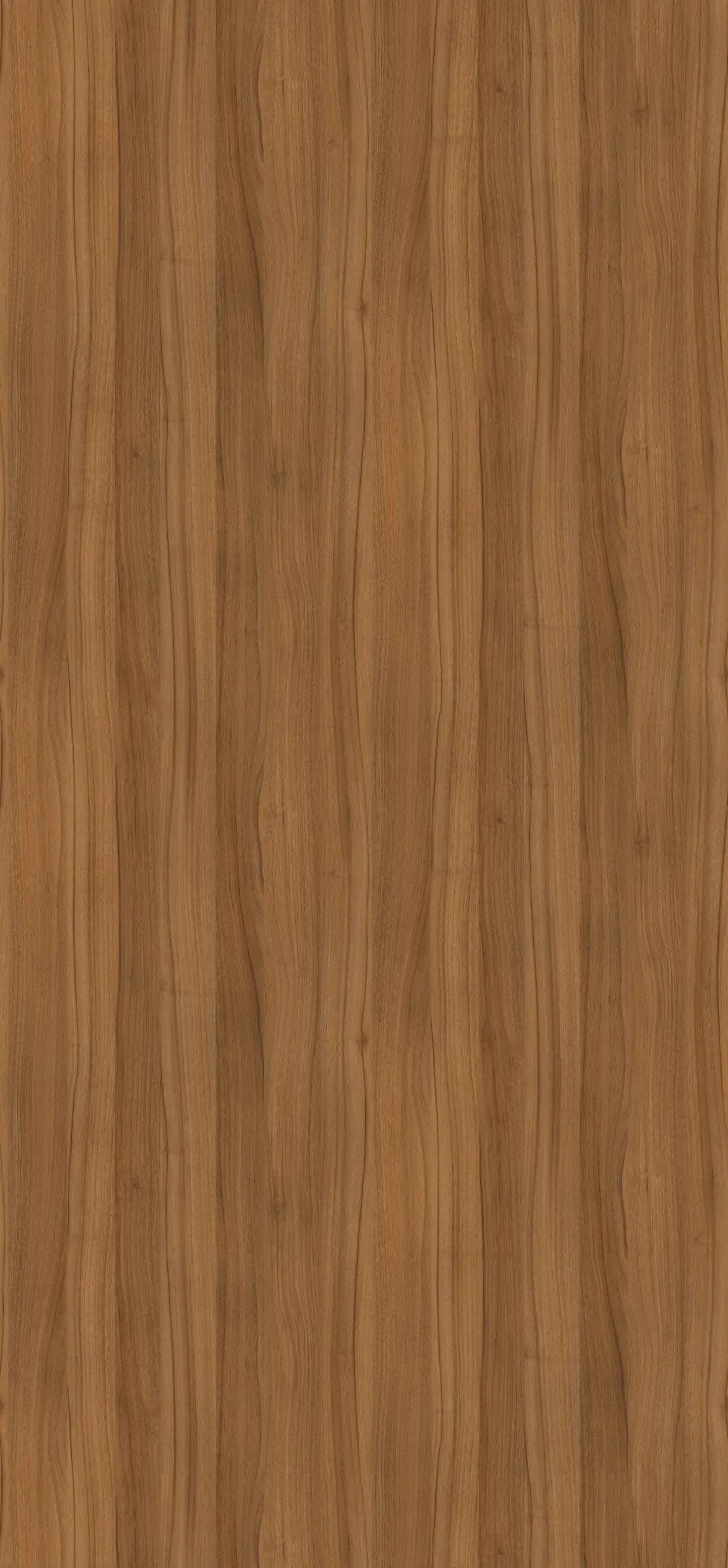 Orech Dijon prírodný