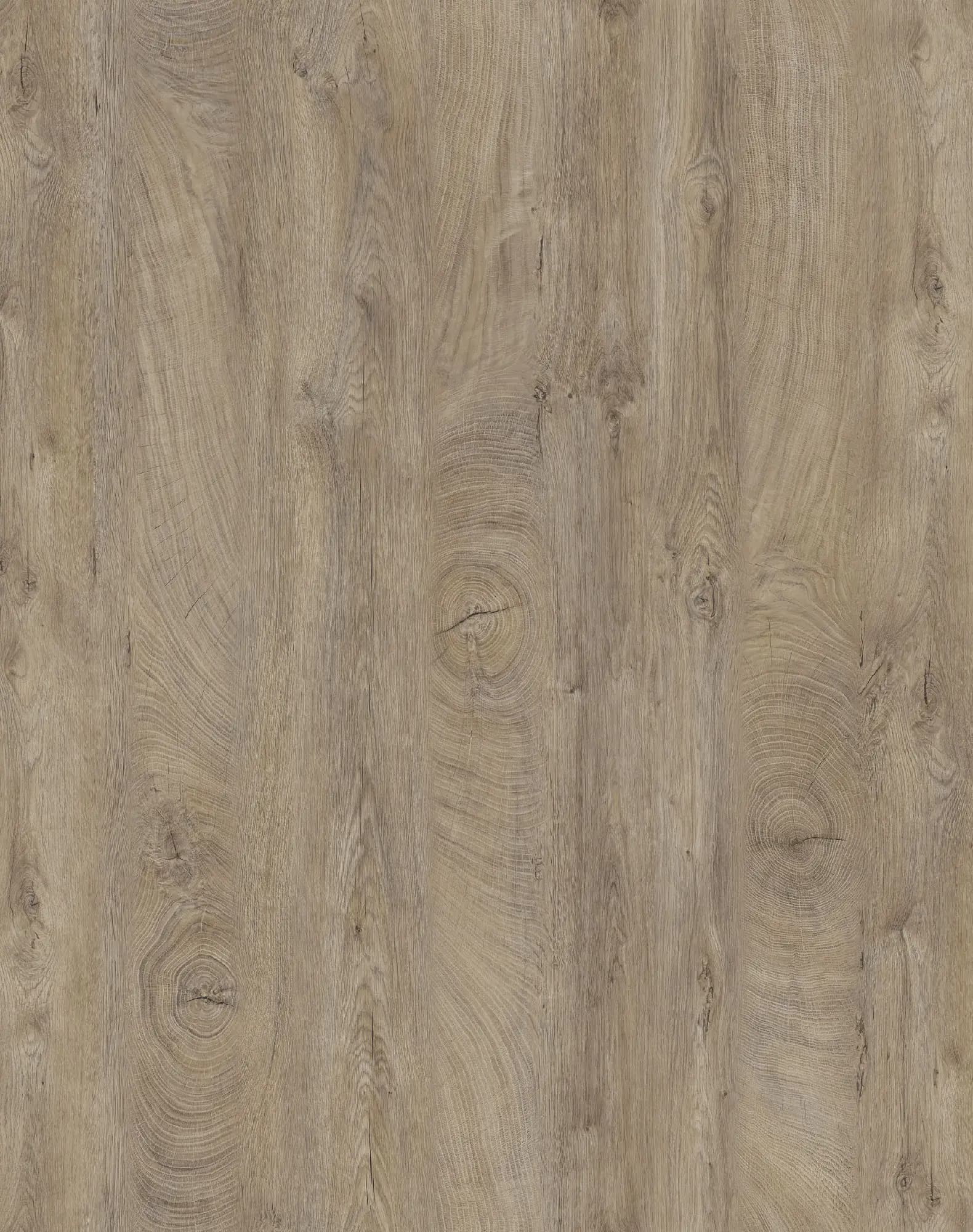 Raw Endgrain Oak