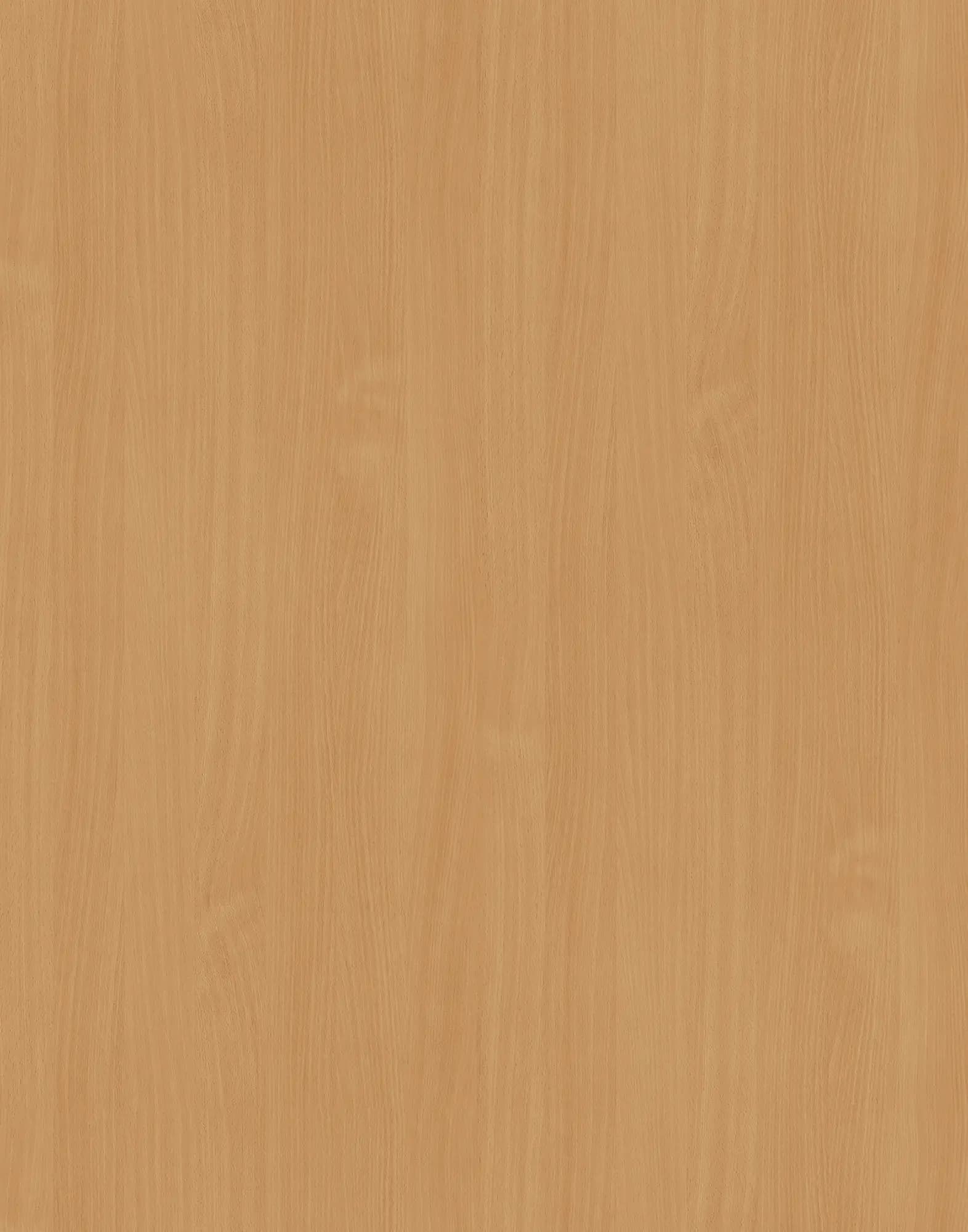 Bavaria Beech