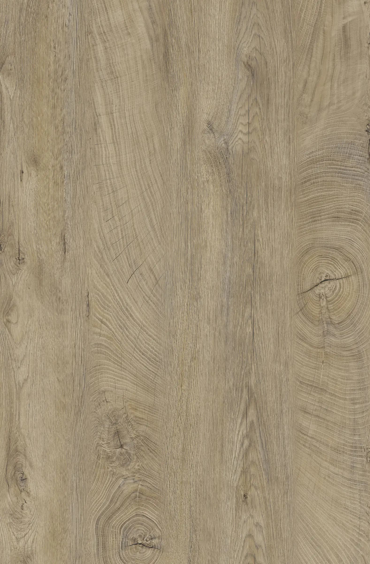 Raw Endgrain Oak