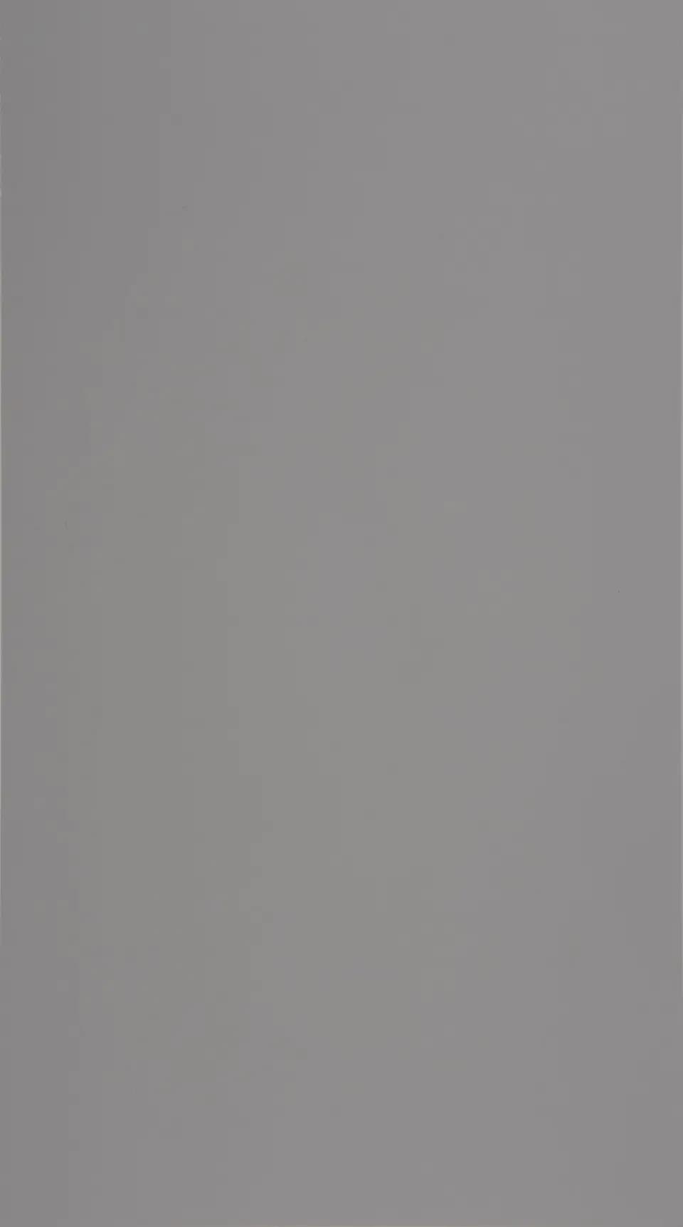 Grigio Efeso