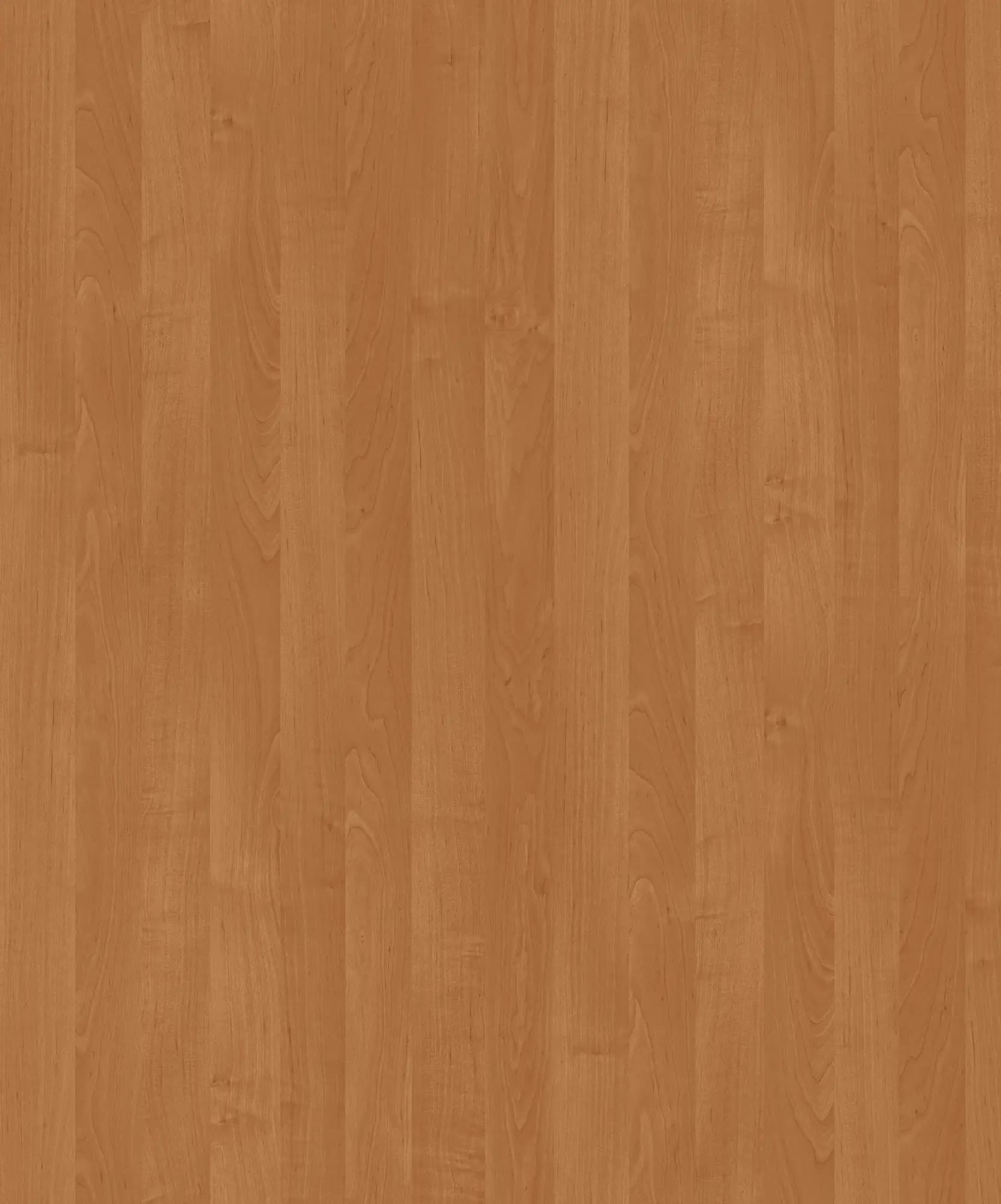 Alder