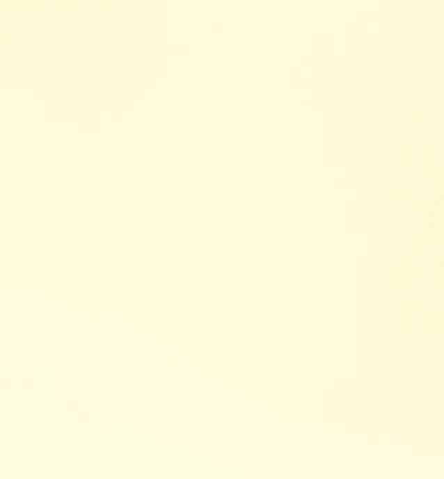 Pure Vanilla 