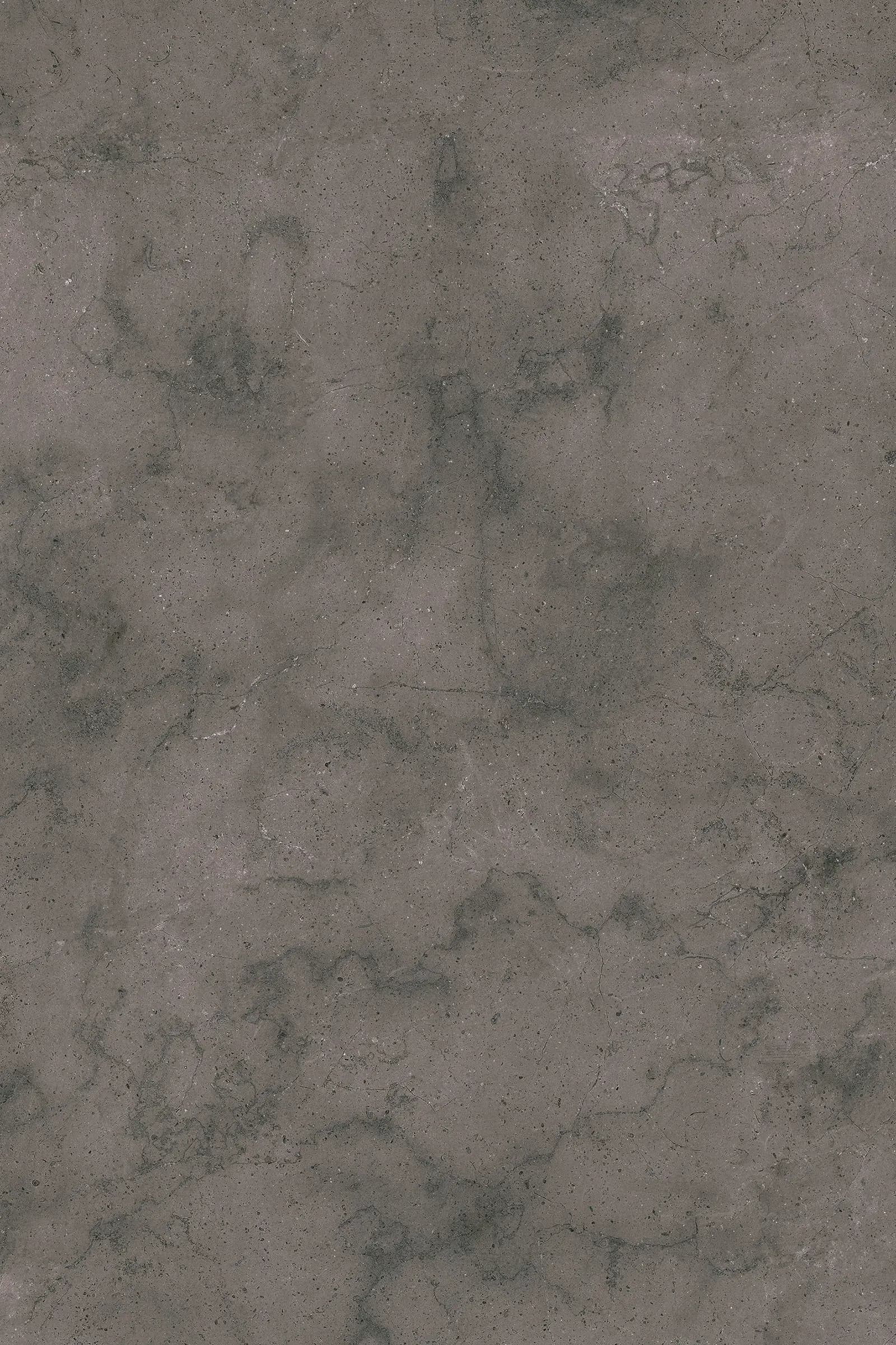 Fossil Arosa